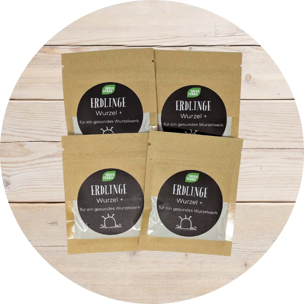 Erdlinge Wurzel + 4er-Pack
